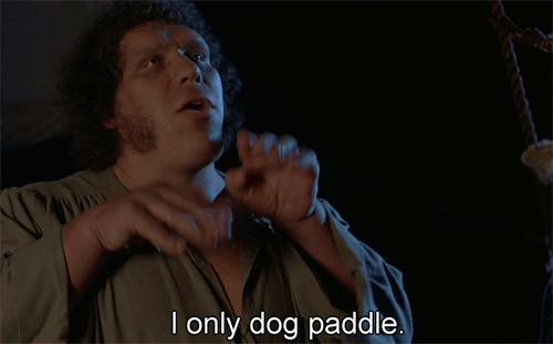 i-only-doggy-paddle.gif