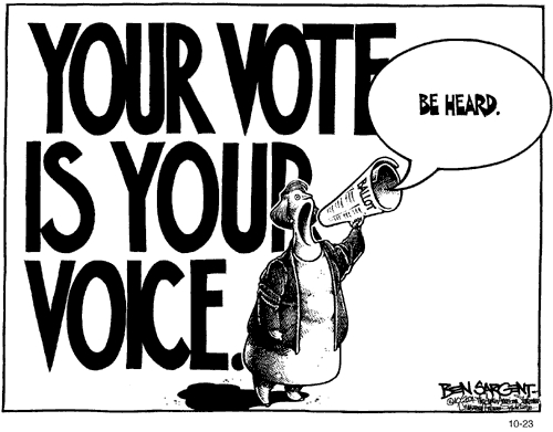 Image result for vote cartoon